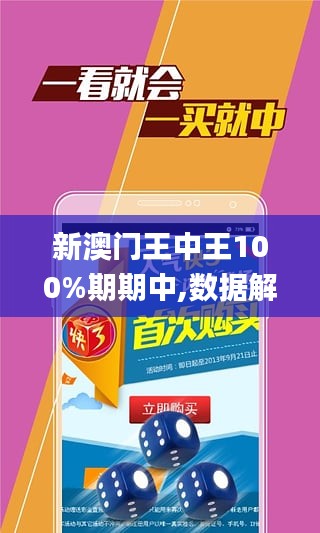 新澳门王中王100%期期中,全面释义、解释与落实